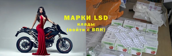 ГАЛЛЮЦИНОГЕННЫЕ ГРИБЫ Сосновый Бор