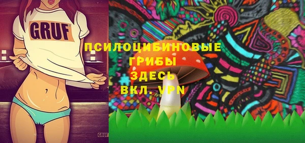 соль ск Арсеньев