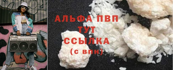 ГАЛЛЮЦИНОГЕННЫЕ ГРИБЫ Сосновый Бор