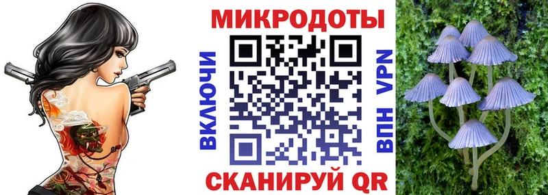 Псилоцибиновые грибы Psilocybine cubensis  цены наркотик  Усинск 
